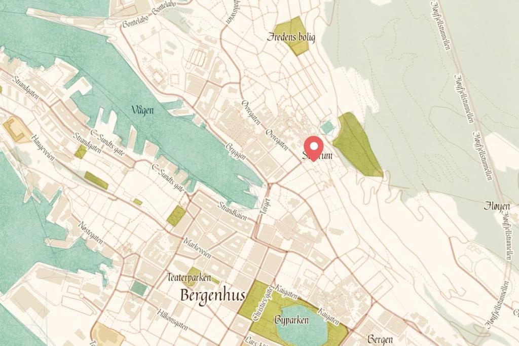 Dinbnb Apartments I Luxury Feel 100M From Bryggen ベルゲン エクステリア 写真